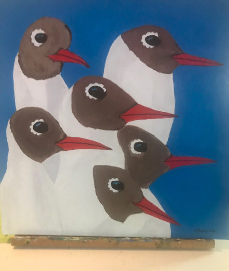 Laughing Gulls