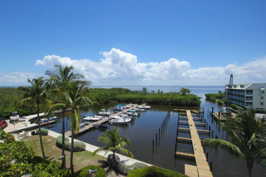 Marina View