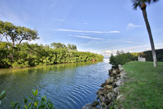 View from the Back of the Property
